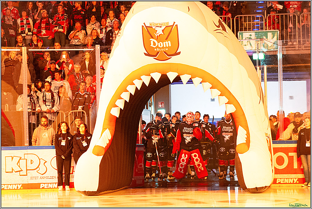 PENNY DEL; Koelner Haie- Nuernberger Ice Tigers; Koeln, 27.09.2024