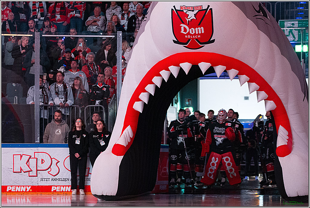 PENNY DEL; Koelner Haie- Nuernberger Ice Tigers; Koeln, 27.09.2024