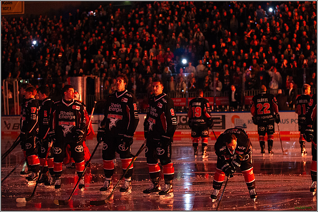 PENNY DEL; Koelner Haie- Nuernberger Ice Tigers; Koeln, 27.09.2024