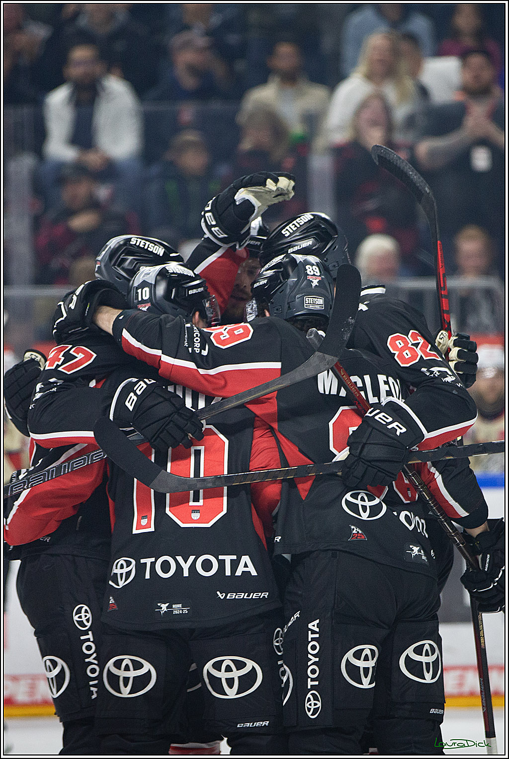 PENNY DEL; Koelner Haie- Nuernberger Ice Tigers; Koeln, 27.09.2024