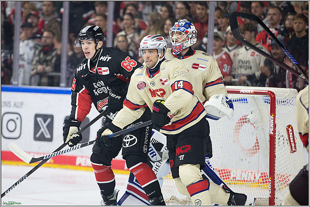 PENNY DEL; Koelner Haie- Nuernberger Ice Tigers; Koeln, 27.09.2024