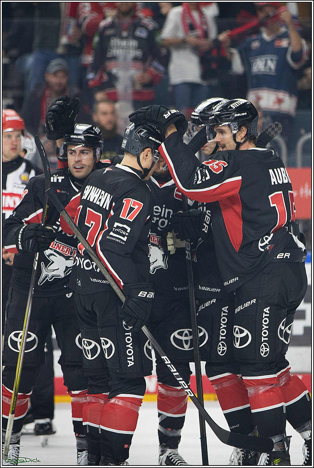 PENNY DEL; Koelner Haie- Nuernberger Ice Tigers; Koeln, 27.09.2024