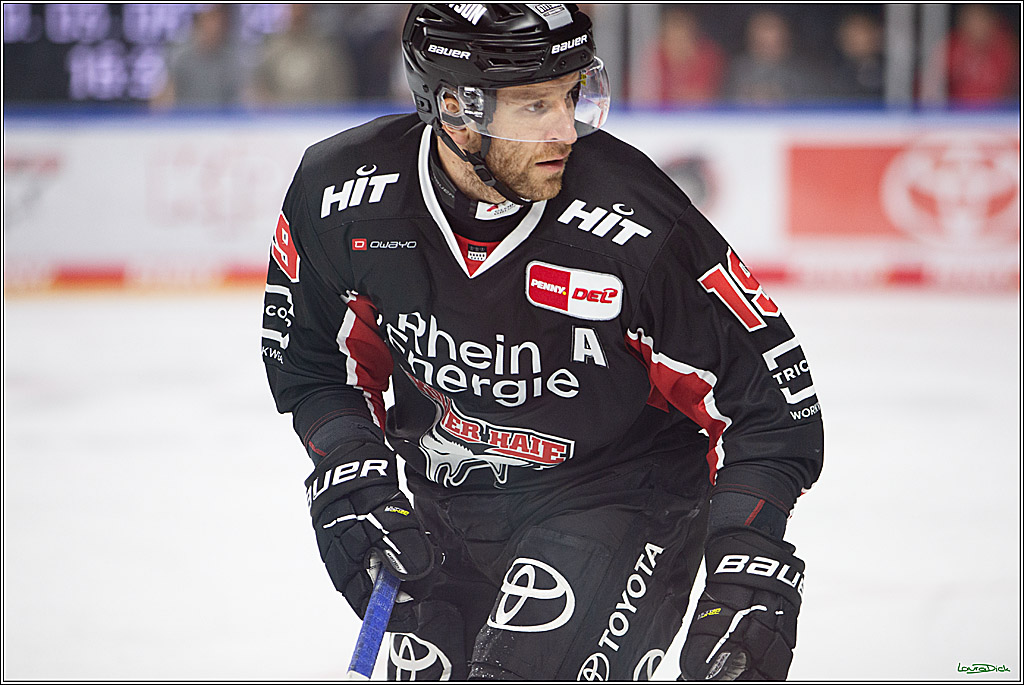 PENNY DEL; Koelner Haie- Nuernberger Ice Tigers; Koeln, 27.09.2024