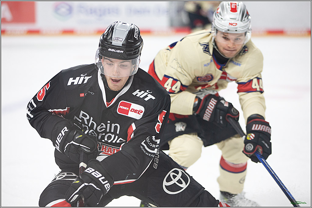 PENNY DEL; Koelner Haie- Nuernberger Ice Tigers; Koeln, 27.09.2024