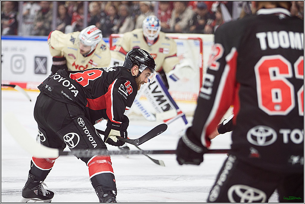 PENNY DEL; Koelner Haie- Nuernberger Ice Tigers; Koeln, 27.09.2024