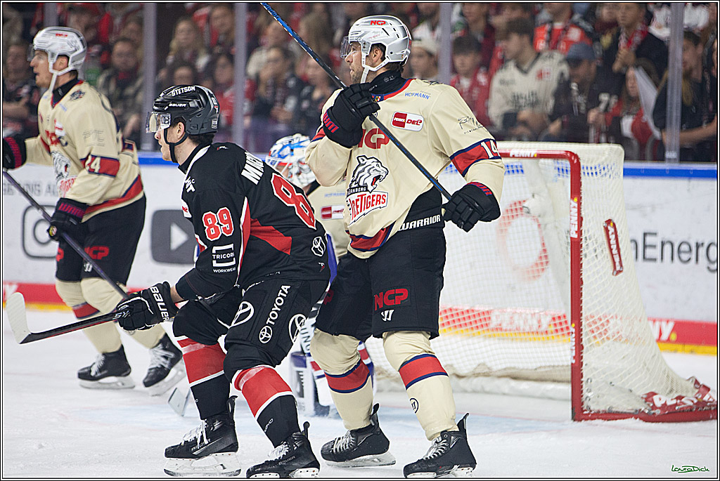 PENNY DEL; Koelner Haie- Nuernberger Ice Tigers; Koeln, 27.09.2024