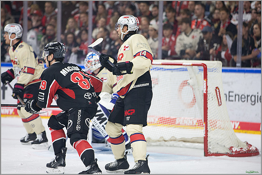 PENNY DEL; Koelner Haie- Nuernberger Ice Tigers; Koeln, 27.09.2024