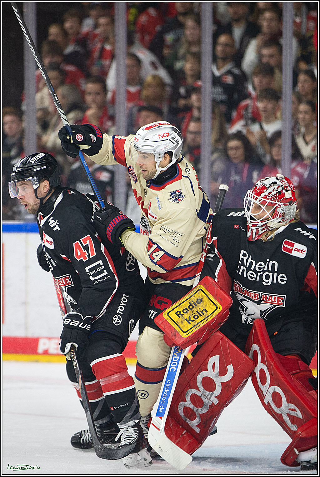 PENNY DEL; Koelner Haie- Nuernberger Ice Tigers; Koeln, 27.09.2024