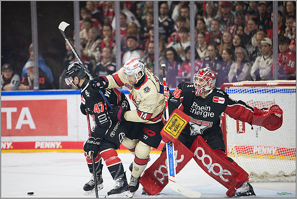 PENNY DEL; Koelner Haie- Nuernberger Ice Tigers; Koeln, 27.09.2024