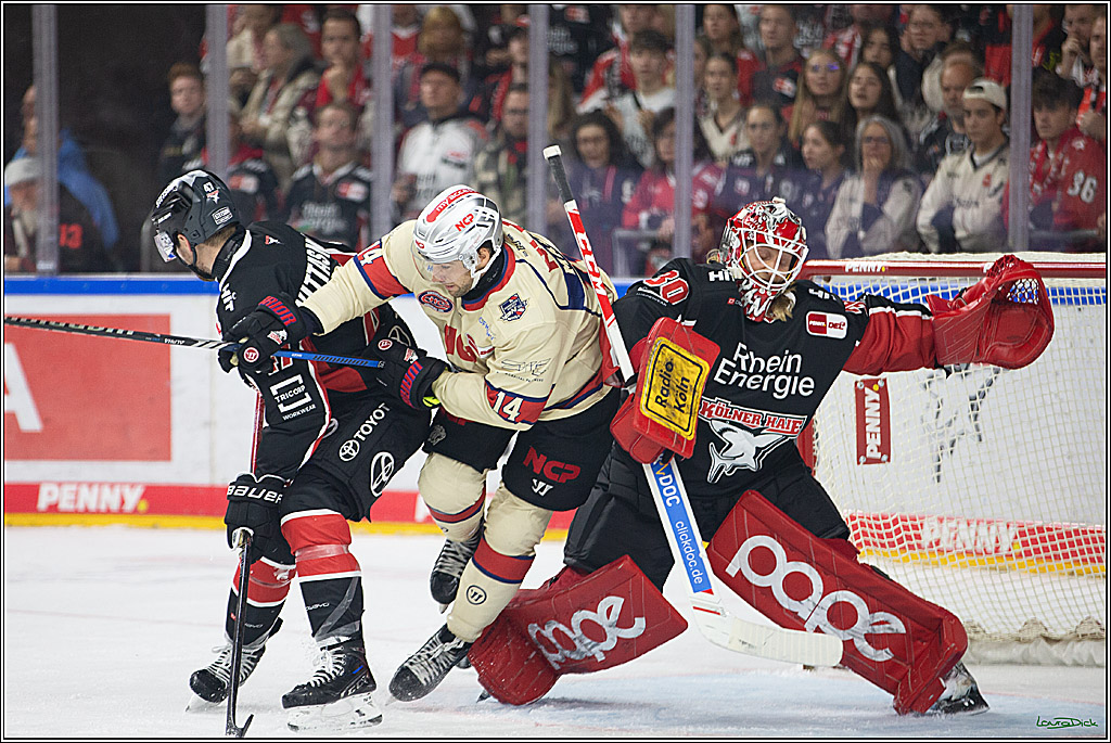 PENNY DEL; Koelner Haie- Nuernberger Ice Tigers; Koeln, 27.09.2024
