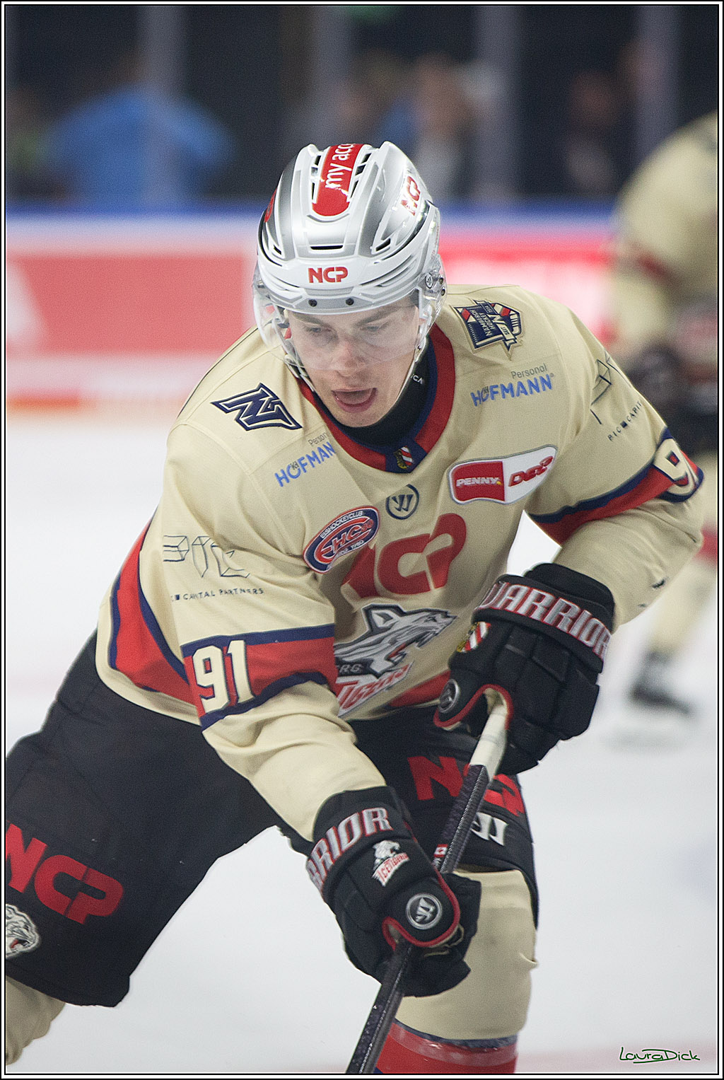 PENNY DEL; Koelner Haie- Nuernberger Ice Tigers; Koeln, 27.09.2024