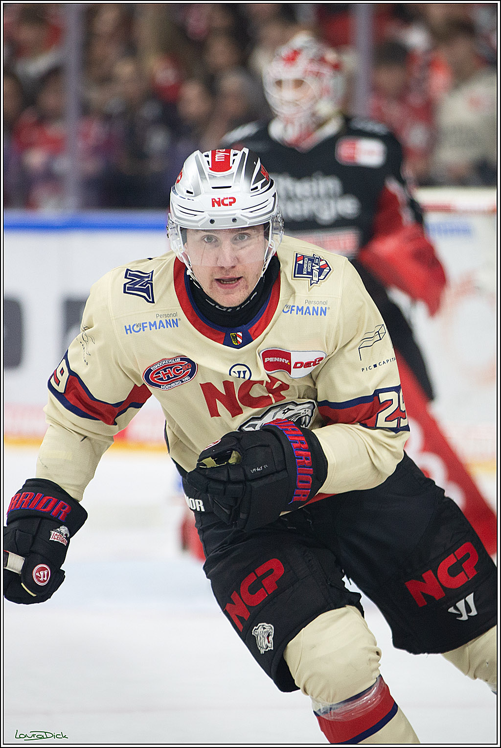 PENNY DEL; Koelner Haie- Nuernberger Ice Tigers; Koeln, 27.09.2024