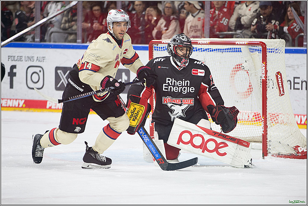 PENNY DEL; Koelner Haie- Nuernberger Ice Tigers; Koeln, 27.09.2024