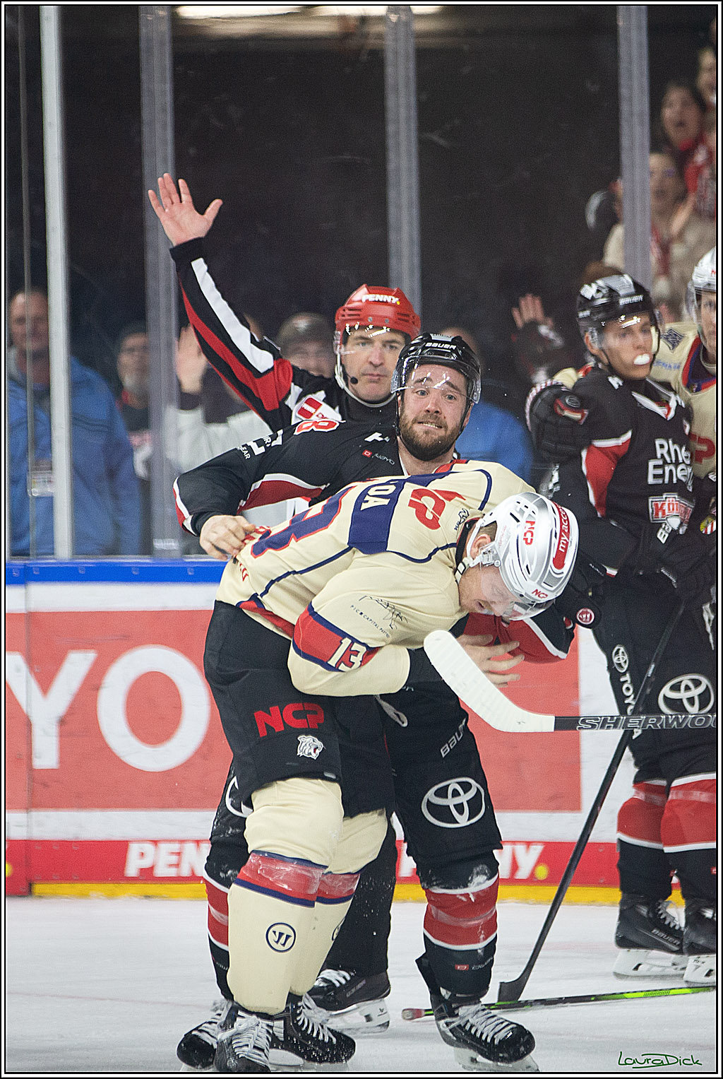 PENNY DEL; Koelner Haie- Nuernberger Ice Tigers; Koeln, 27.09.2024