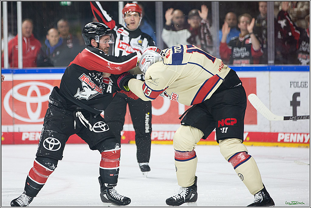 PENNY DEL; Koelner Haie- Nuernberger Ice Tigers; Koeln, 27.09.2024