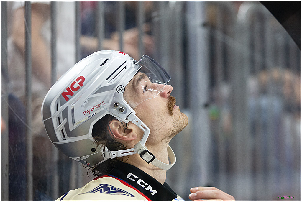 PENNY DEL; Koelner Haie- Nuernberger Ice Tigers; Koeln, 27.09.2024