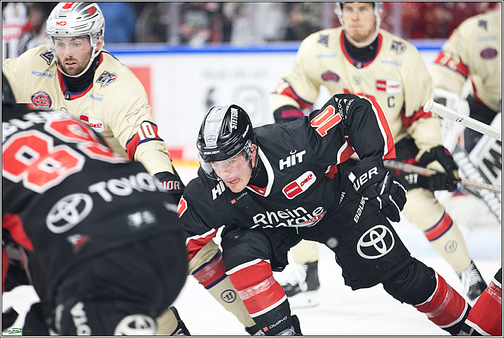 PENNY DEL; Koelner Haie- Nuernberger Ice Tigers; Koeln, 27.09.2024