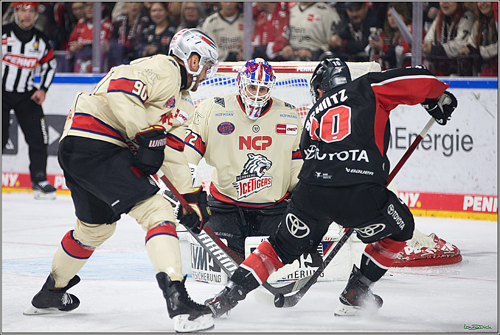 PENNY DEL; Koelner Haie- Nuernberger Ice Tigers; Koeln, 27.09.2024