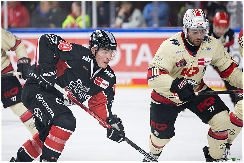 PENNY DEL; Koelner Haie- Nuernberger Ice Tigers; Koeln, 27.09.2024