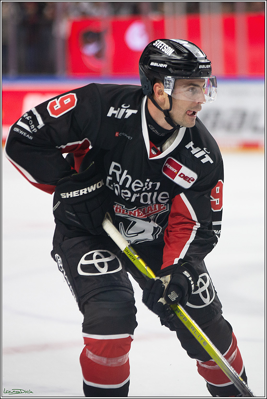 PENNY DEL; Koelner Haie- Nuernberger Ice Tigers; Koeln, 27.09.2024