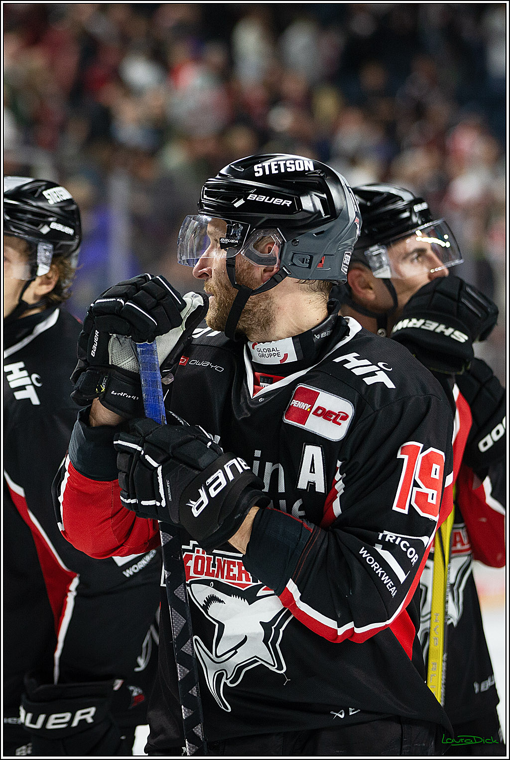 PENNY DEL; Koelner Haie- Nuernberger Ice Tigers; Koeln, 27.09.2024