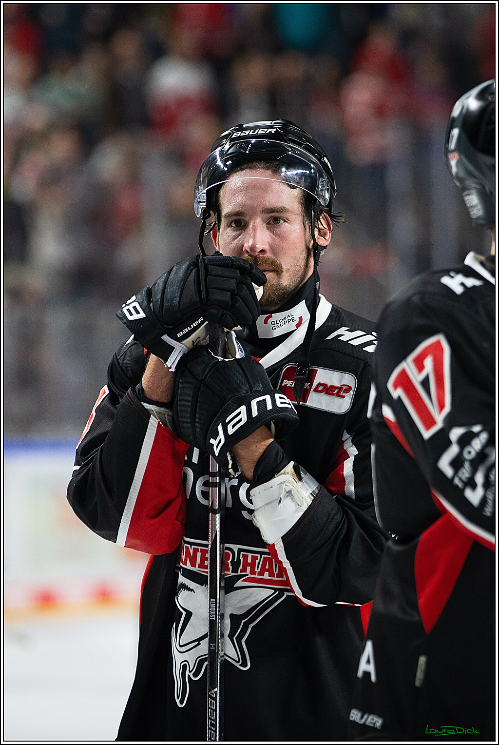 PENNY DEL; Koelner Haie- Nuernberger Ice Tigers; Koeln, 27.09.2024