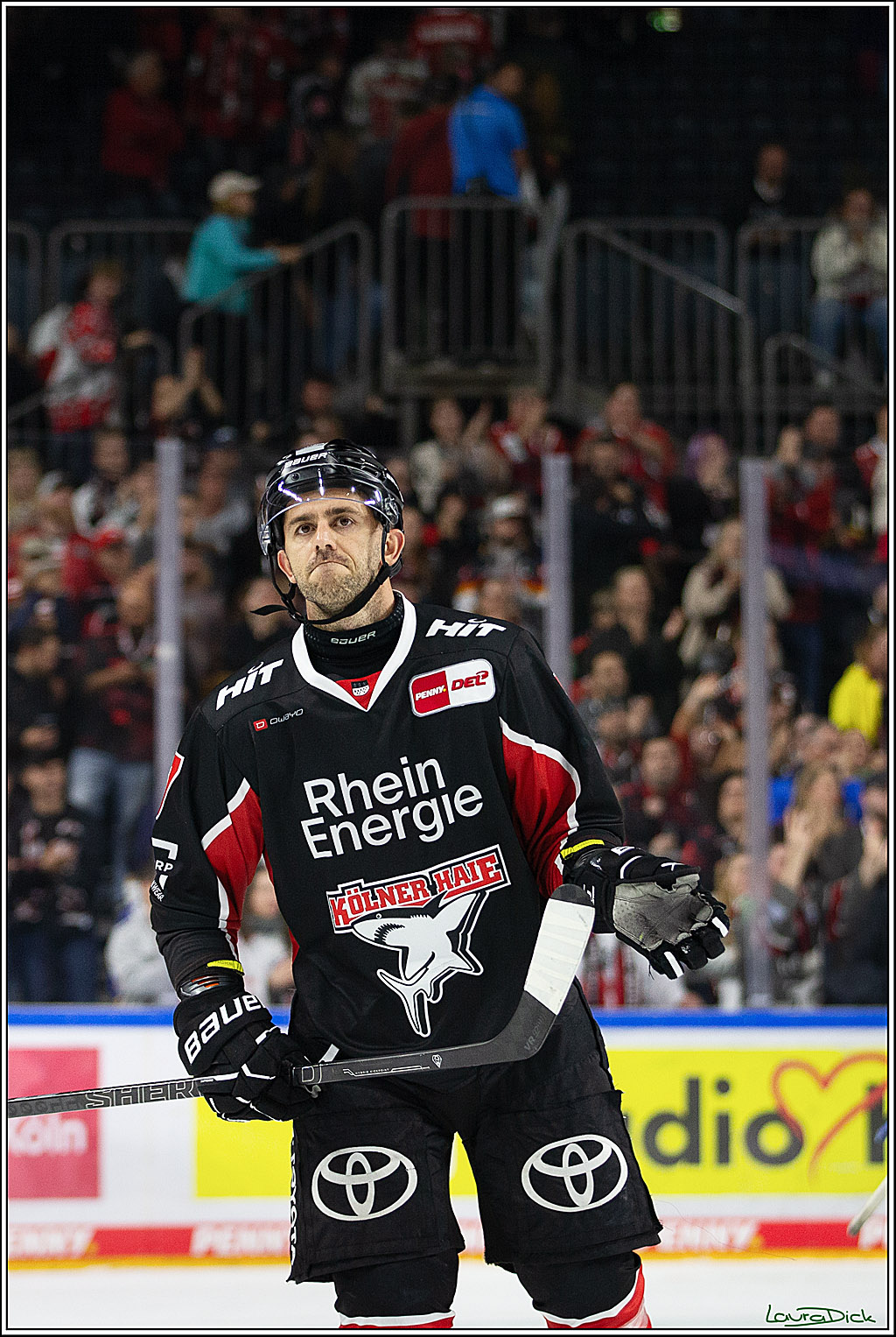 PENNY DEL; Koelner Haie- Nuernberger Ice Tigers; Koeln, 27.09.2024