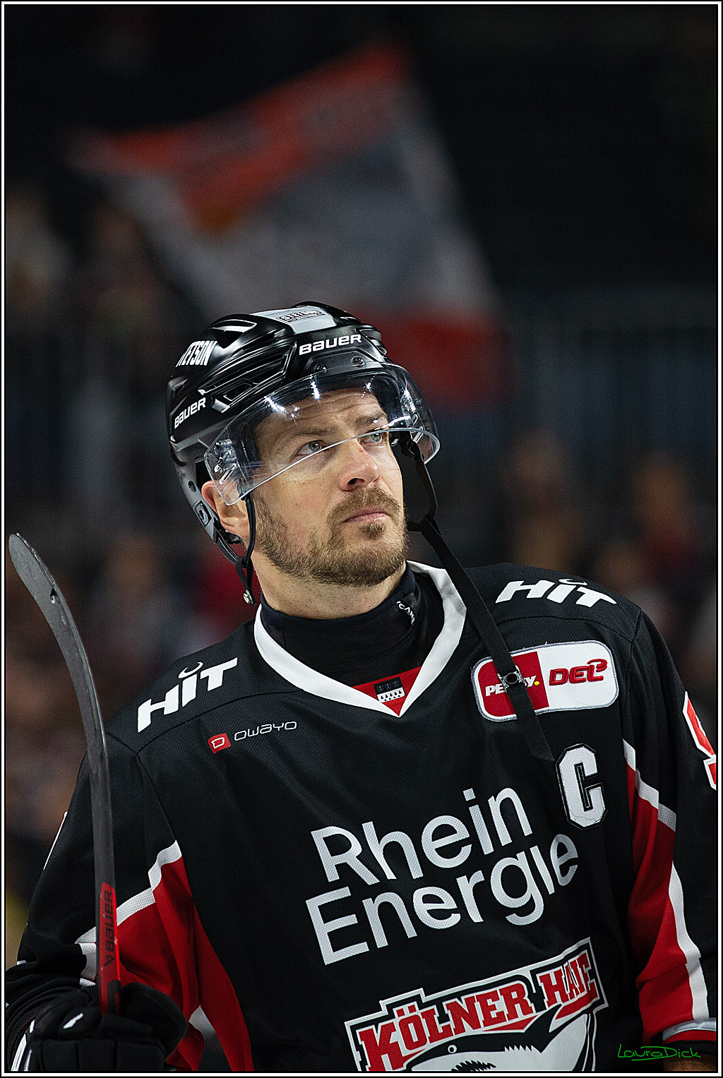 PENNY DEL; Koelner Haie- Nuernberger Ice Tigers; Koeln, 27.09.2024