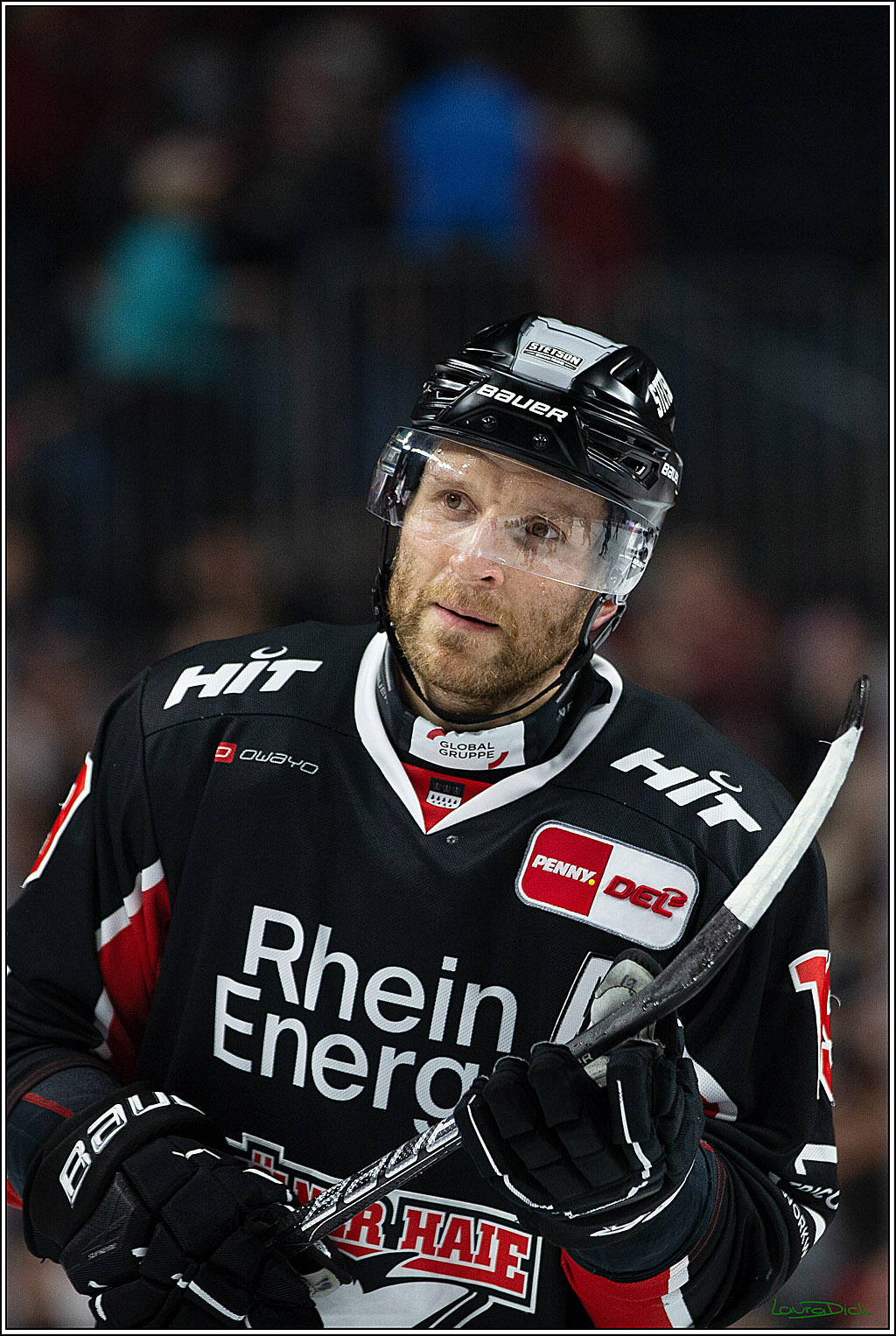 PENNY DEL; Koelner Haie- Nuernberger Ice Tigers; Koeln, 27.09.2024