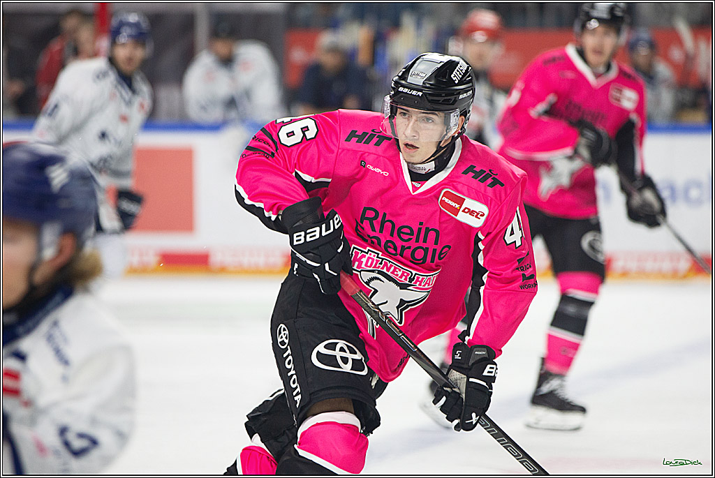 PENNY DEL; Koelner Haie- Staubing Tigers; Koeln, 03.10.2024