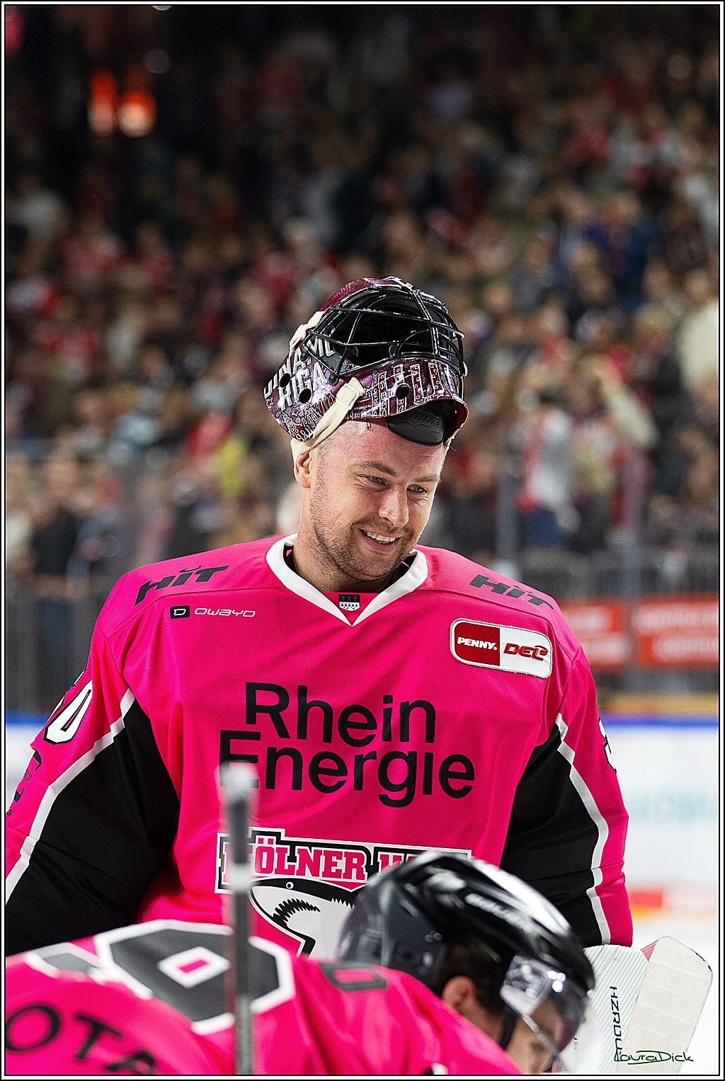 PENNY DEL; Koelner Haie- Staubing Tigers; Koeln, 03.10.2024