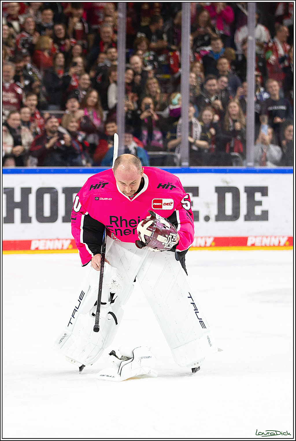 PENNY DEL; Koelner Haie- Staubing Tigers; Koeln, 03.10.2024