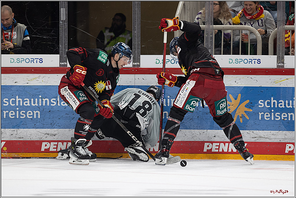 PENNY DEL 1; Düsseldorfer EG - Kölner Haie; Düsseldorf, 18.10.2024