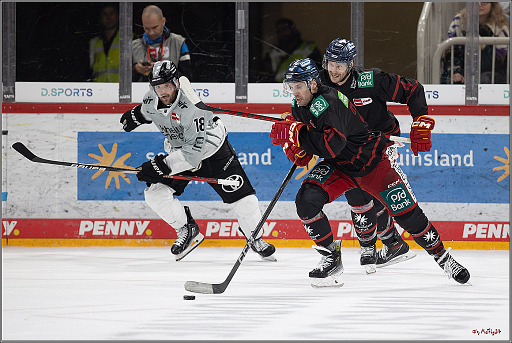 PENNY DEL 1; Düsseldorfer EG - Kölner Haie; Düsseldorf, 18.10.2024
