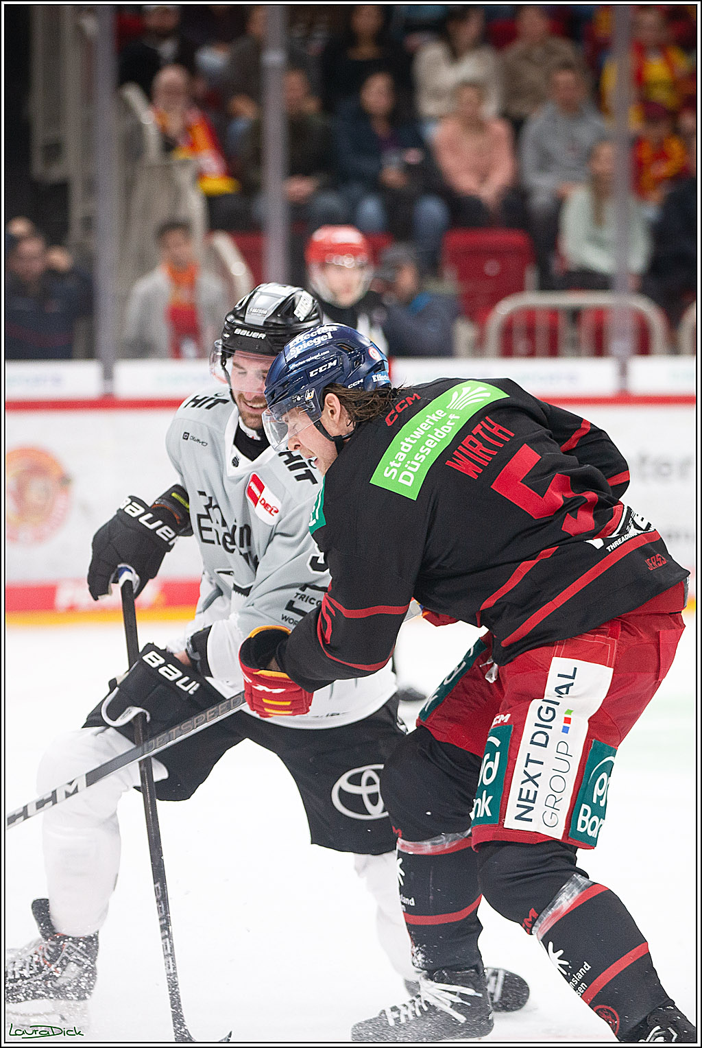 PENNY DEL; Duesseldorfer EG-Koelner Haie; Duesseldorf, 18.10.2024