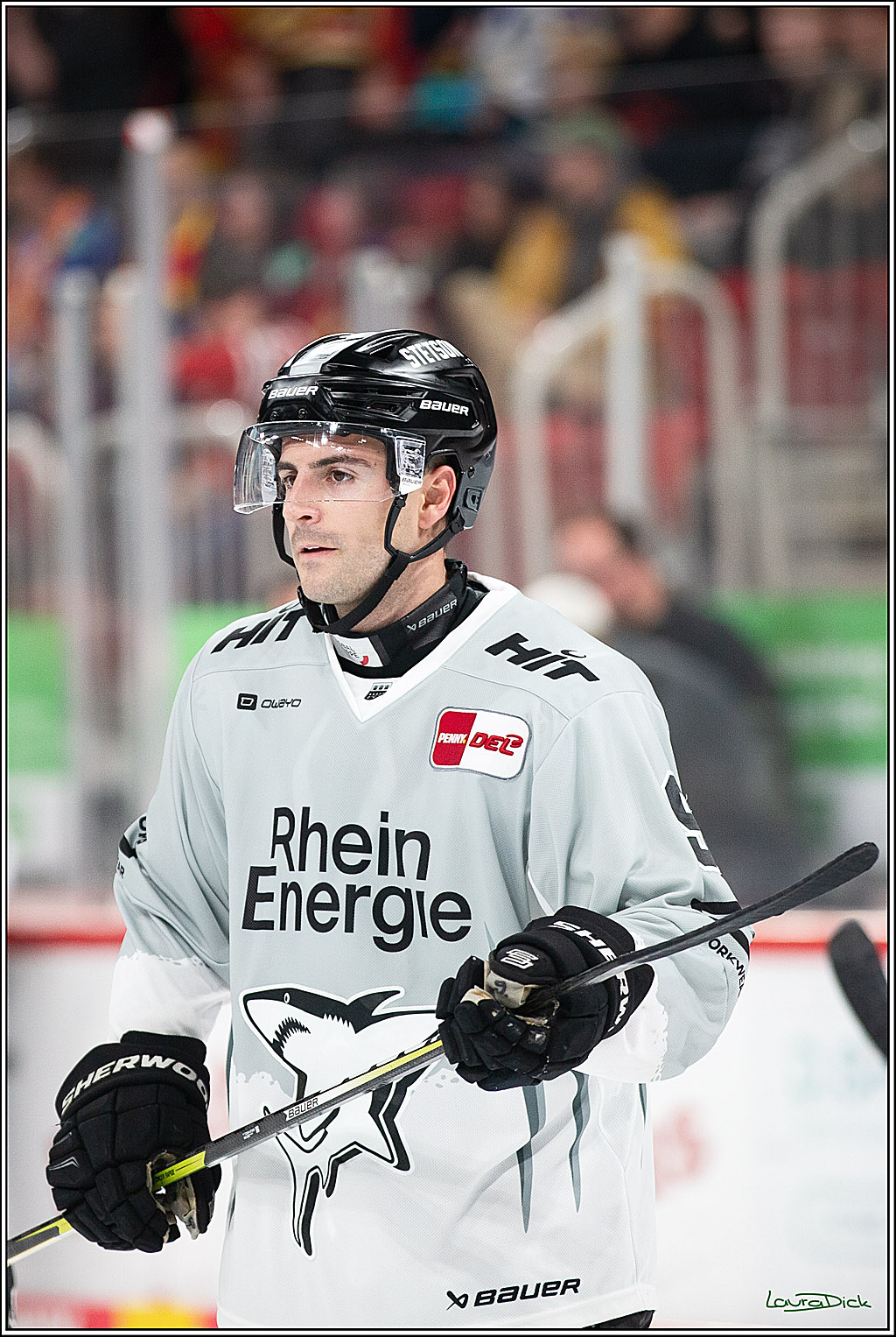 PENNY DEL; Duesseldorfer EG-Koelner Haie; Duesseldorf, 18.10.2024