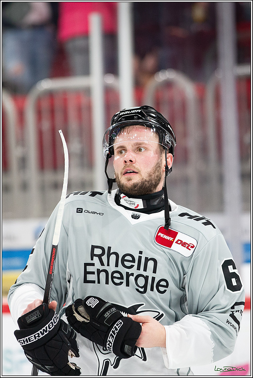 PENNY DEL; Duesseldorfer EG-Koelner Haie; Duesseldorf, 18.10.2024