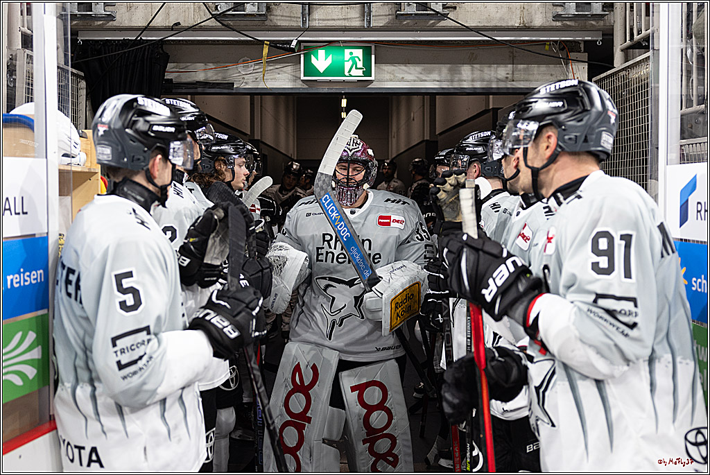 PENNY DEL 1; Düsseldorfer EG - Kölner Haie; Düsseldorf, 18.10.2024
