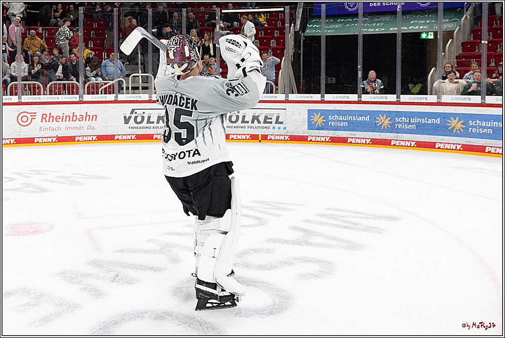 PENNY DEL 1; Düsseldorfer EG - Kölner Haie; Düsseldorf, 18.10.2024