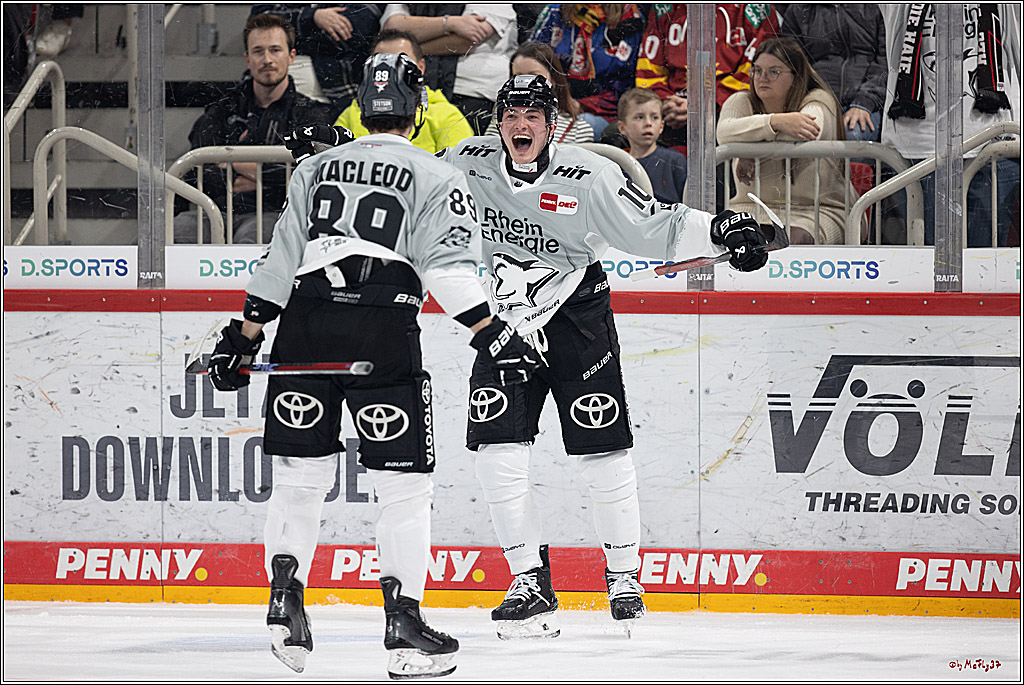 PENNY DEL 1; Düsseldorfer EG - Kölner Haie; Düsseldorf, 18.10.2024