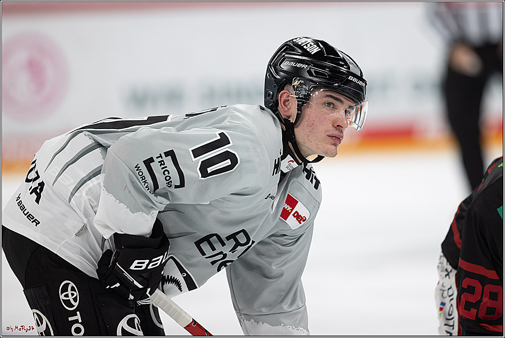 PENNY DEL 1; Düsseldorfer EG - Kölner Haie; Düsseldorf, 18.10.2024