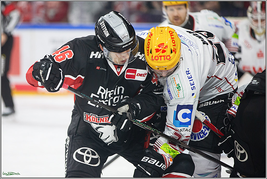 PENNY DEL; Koelner Haie-Pinguine Bremerhaven; Koeln, 15.11.2024