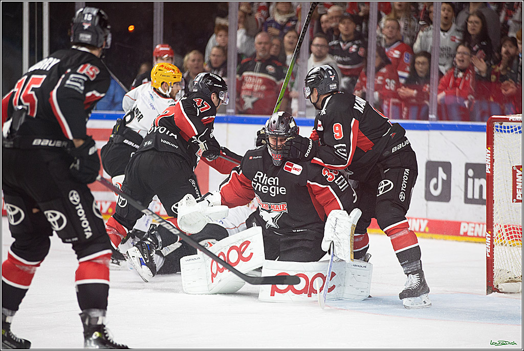 PENNY DEL; Koelner Haie-Pinguine Bremerhaven; Koeln, 15.11.2024