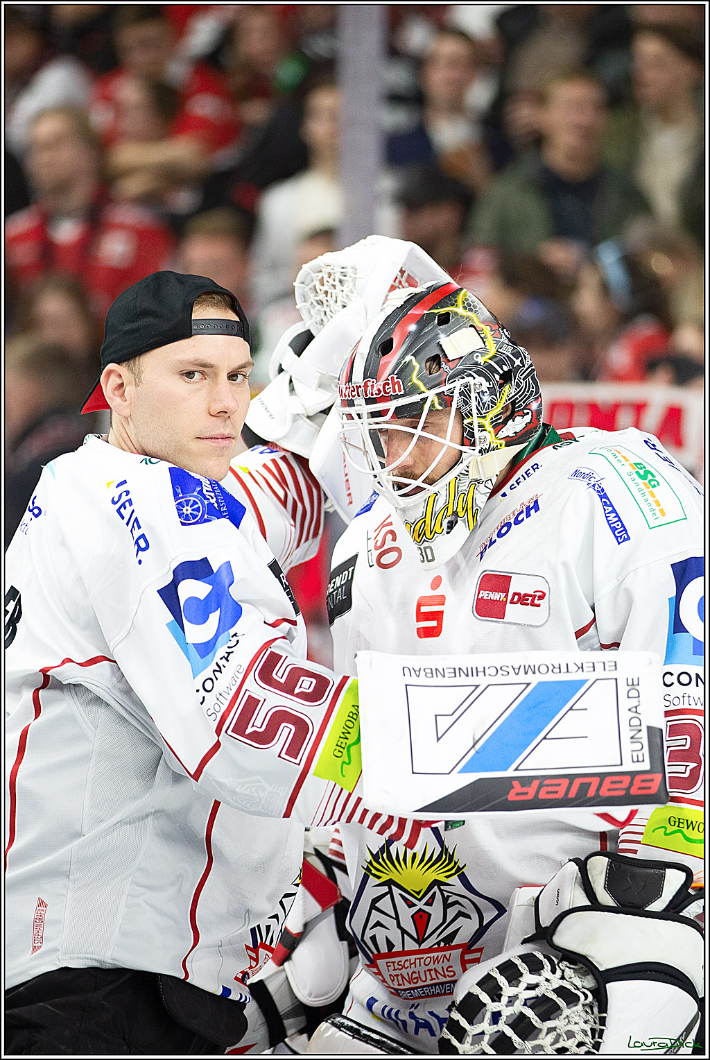 PENNY DEL; Koelner Haie-Pinguine Bremerhaven; Koeln, 15.11.2024