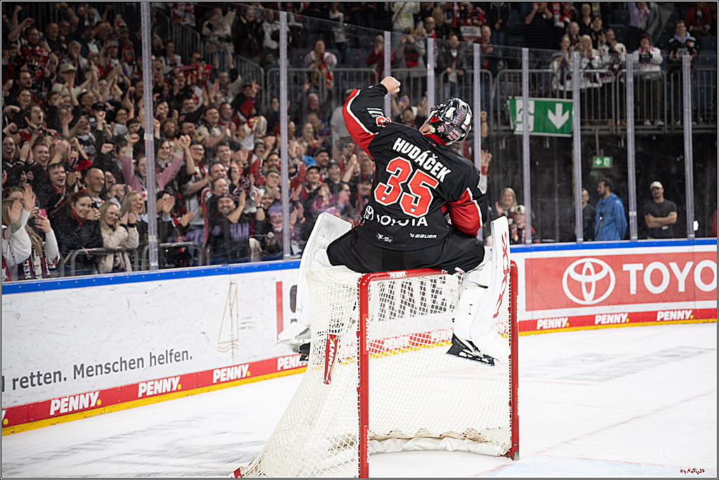 PENNY DEL 1; Kölner Haie - Düsseldorfer EG ; Köln, 24.11.2024