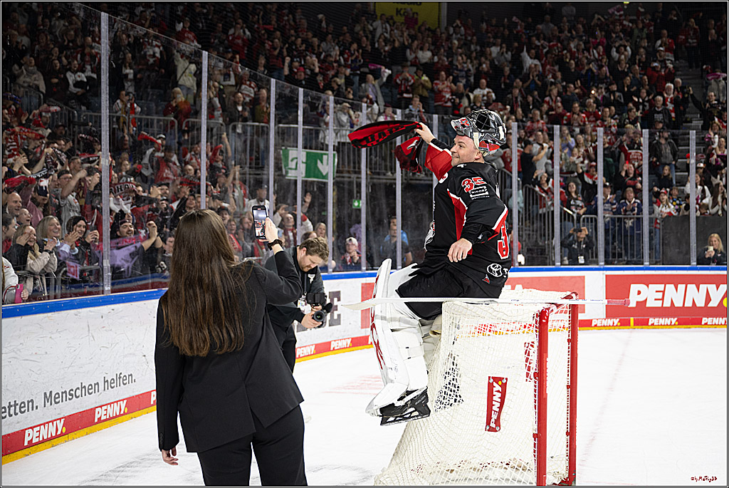 PENNY DEL 1; Kölner Haie - Düsseldorfer EG ; Köln, 24.11.2024