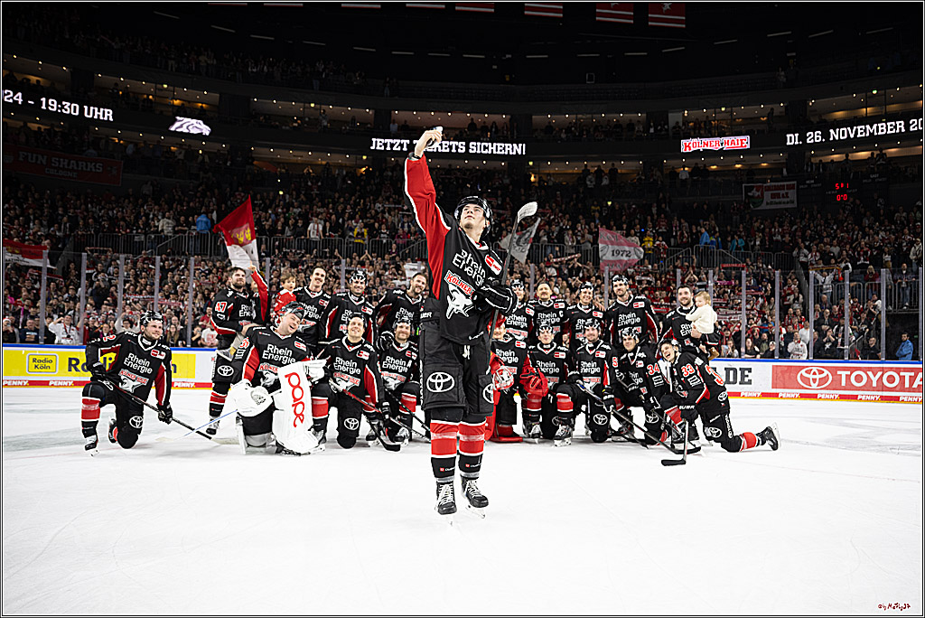 PENNY DEL 1; Kölner Haie - Düsseldorfer EG ; Köln, 24.11.2024