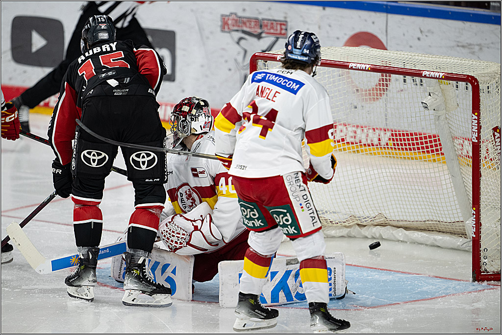 PENNY DEL 1; Kölner Haie - Düsseldorfer EG ; Köln, 24.11.2024