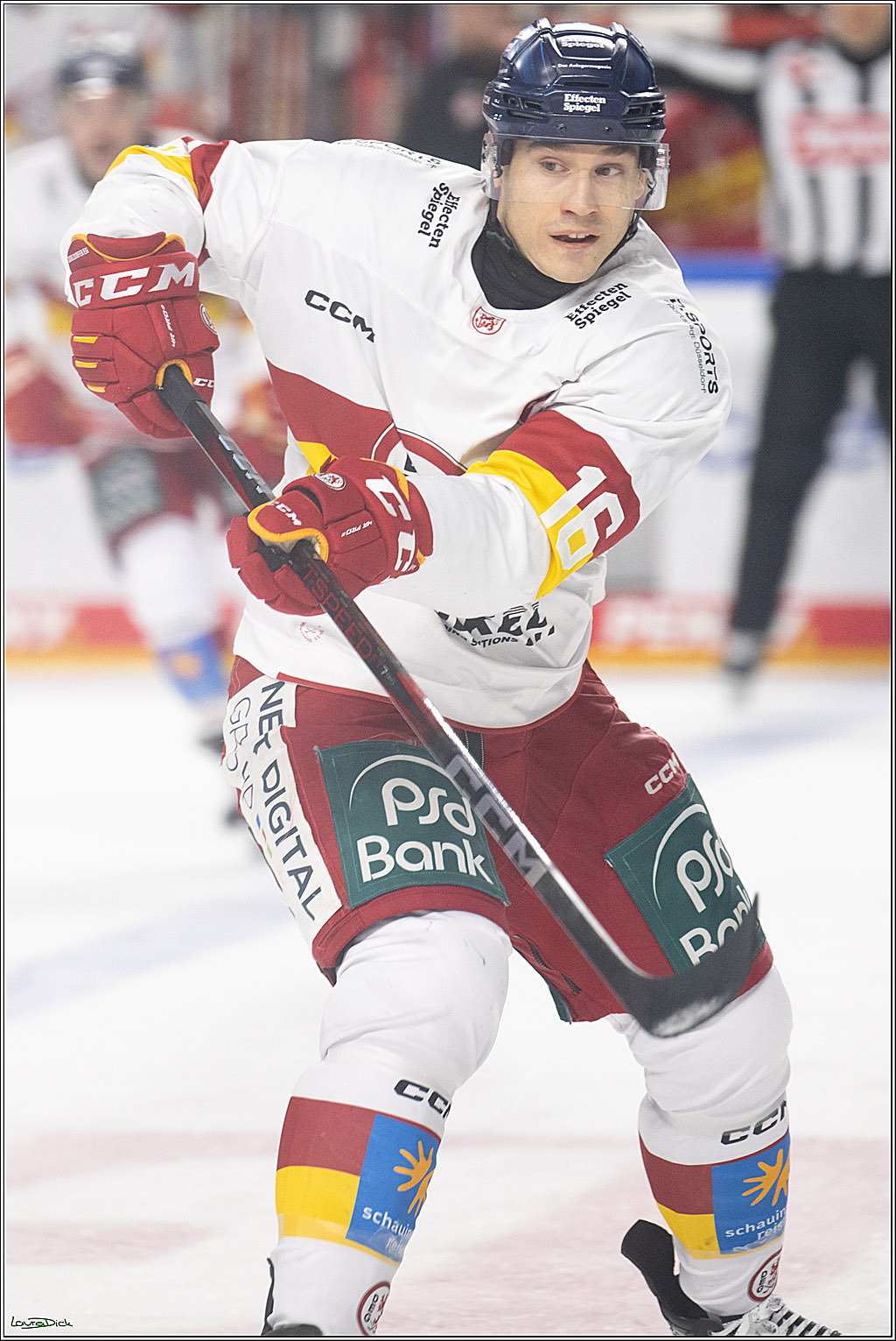 PENNY DEL; Koelner Haie-Duesseldorfer EG; Koeln, 24.11.2024