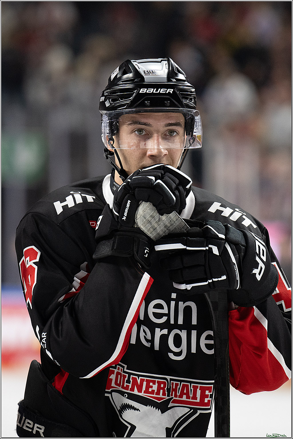 PENNY DEL; Koelner Haie-Duesseldorfer EG; Koeln, 24.11.2024